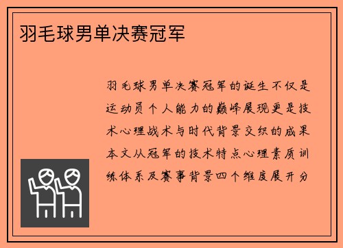 羽毛球男单决赛冠军